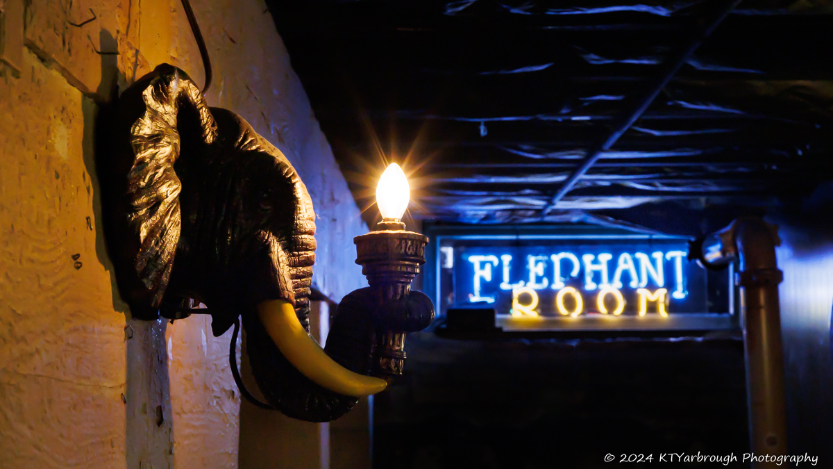 Elephant Room historic basement jazz bar on Congress Avenue Austin